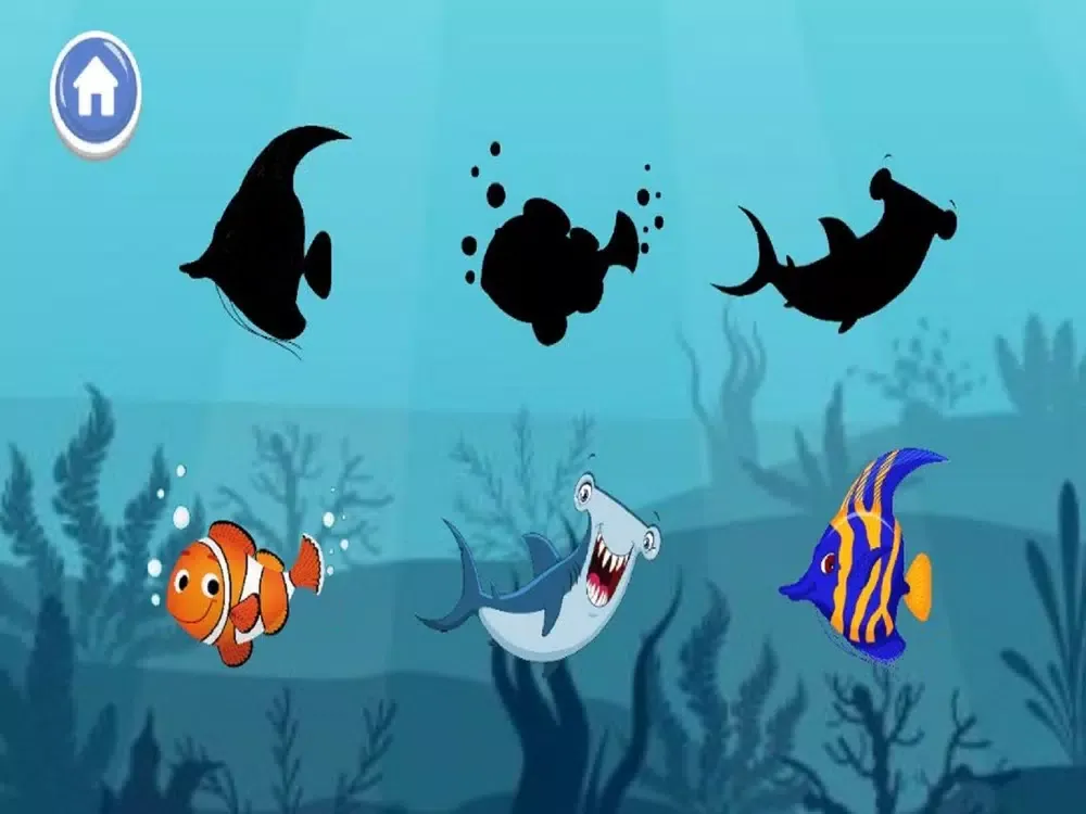 تصاویر A to Z Aquatic Animals iPad 