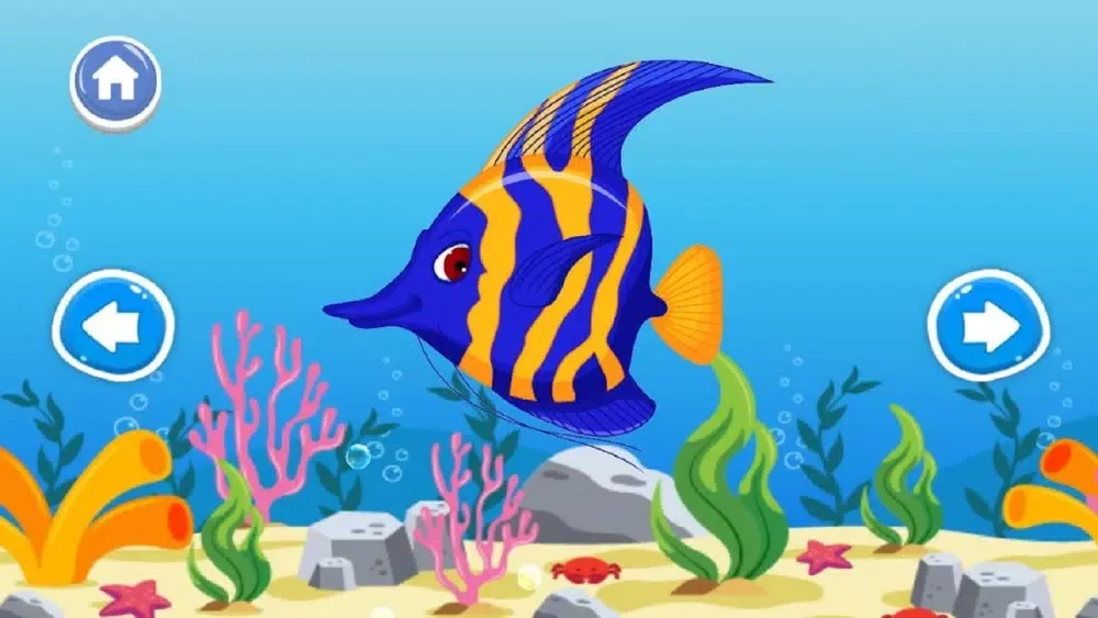 تصاویر A to Z Aquatic Animals
