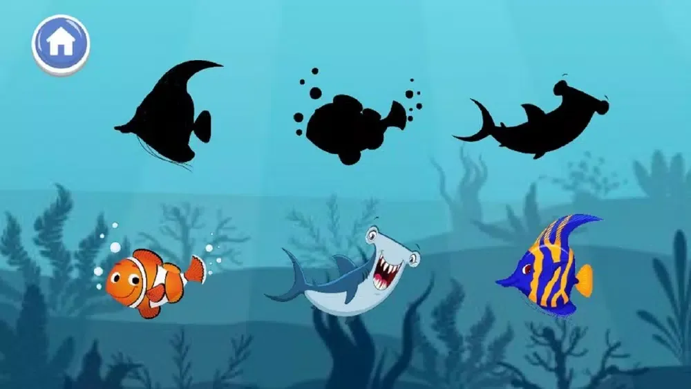 تصاویر A to Z Aquatic Animals