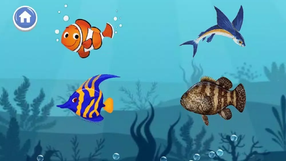 تصاویر A to Z Aquatic Animals