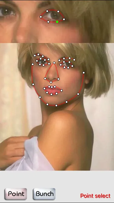 FaceMorph - face morphing スクリーンショット