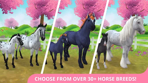 Star Stable Horses Screenshots