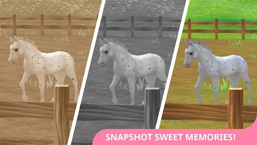 Star Stable Horses Screenshots