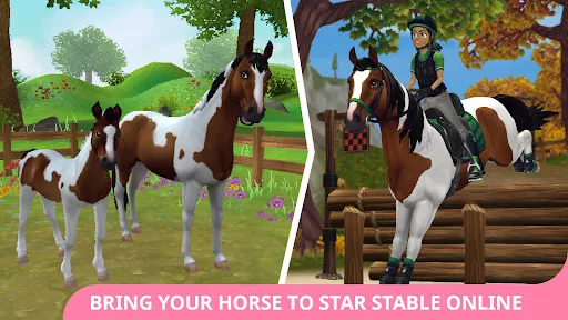 Star Stable Horses Screenshots