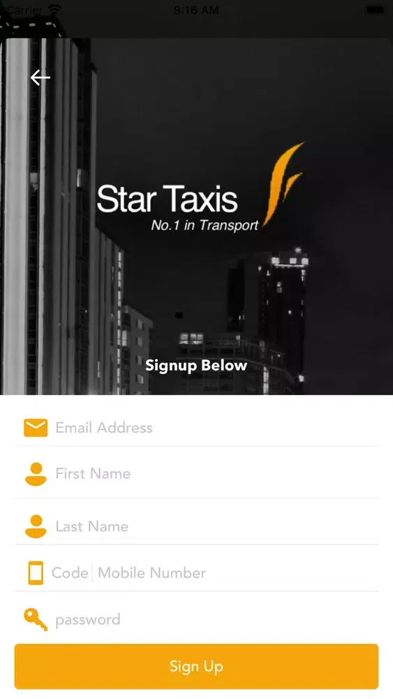 Star-Taxis Screenshots