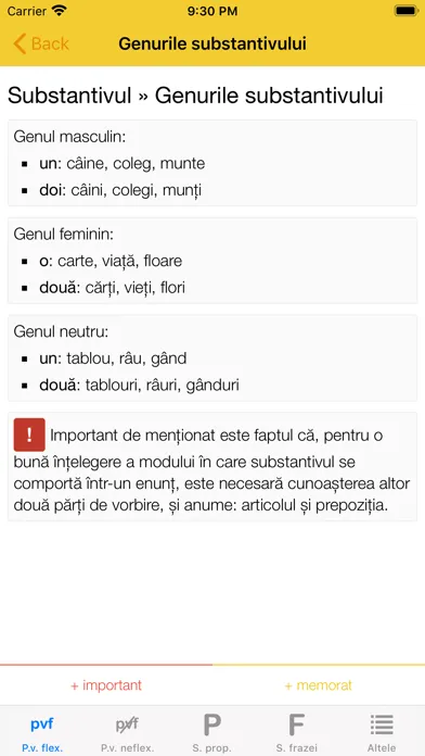 Română10 Gramatică应用截图