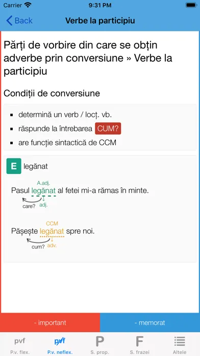 Română10 Gramatică应用截图