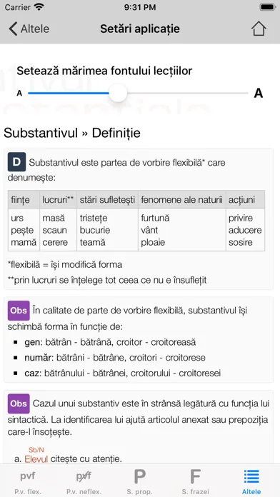 Română10 Gramatică应用截图