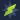 StarVPN