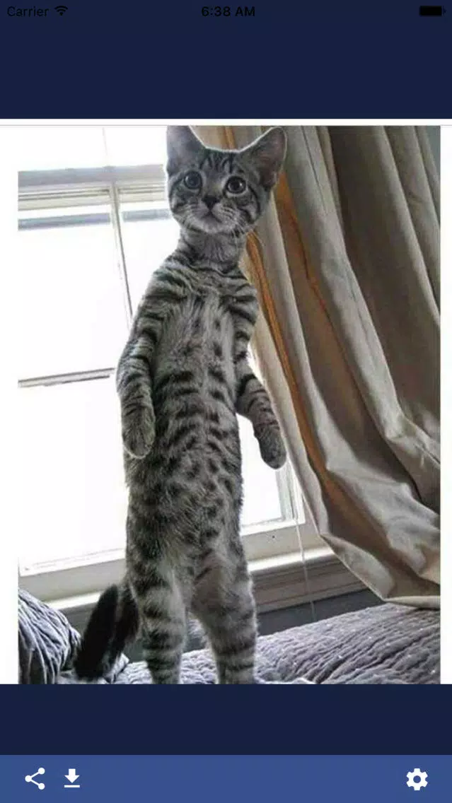 ภาพหน้าจอของ Look@Cute