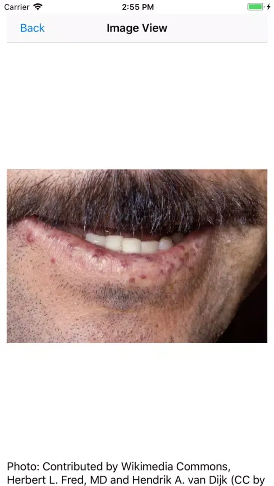 Tangkapan skrin Dermatology Reviews