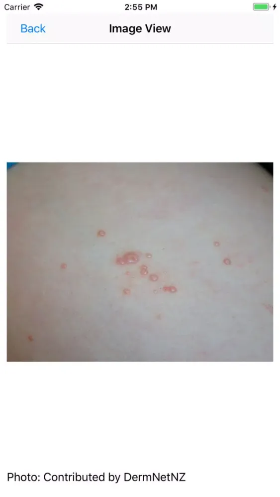 Tangkapan skrin Dermatology Reviews