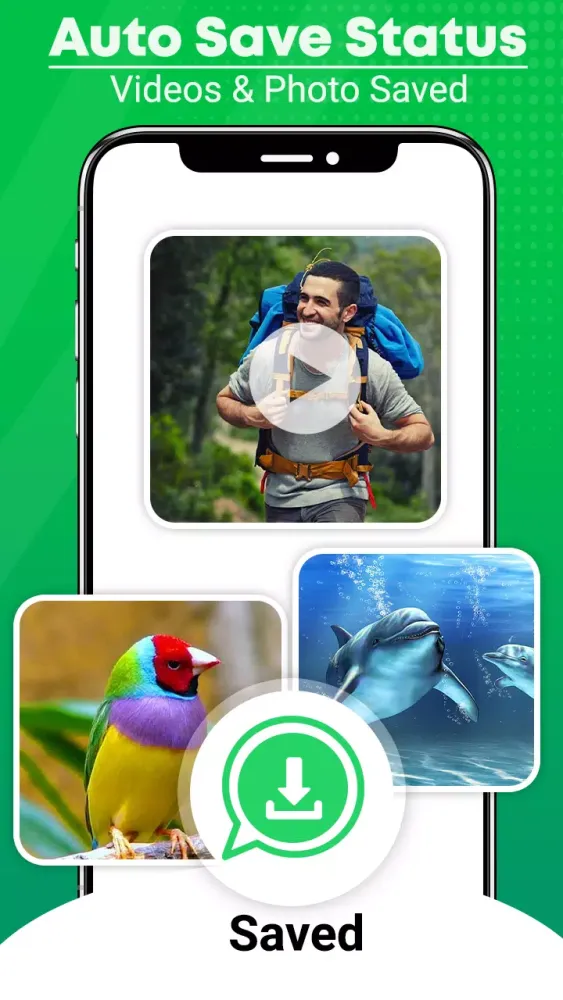 Save Status Video Downloader Screenshots