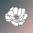 Anemone for Wedding Pros Anemone for Wedding Pros