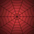 Spider Fight