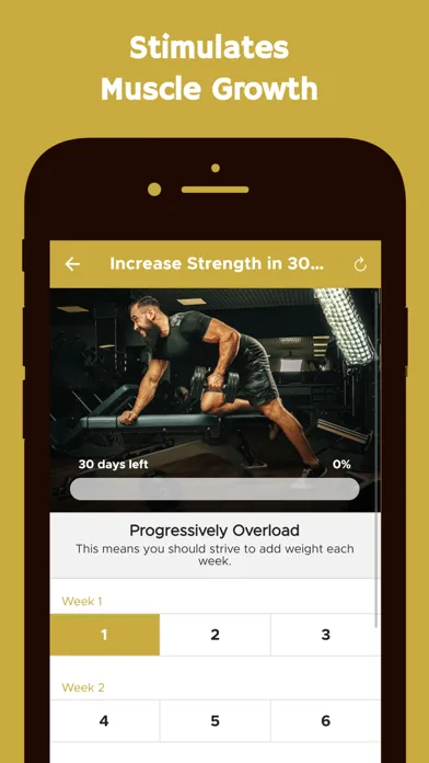 Capturas de tela do Gym Workout Programs