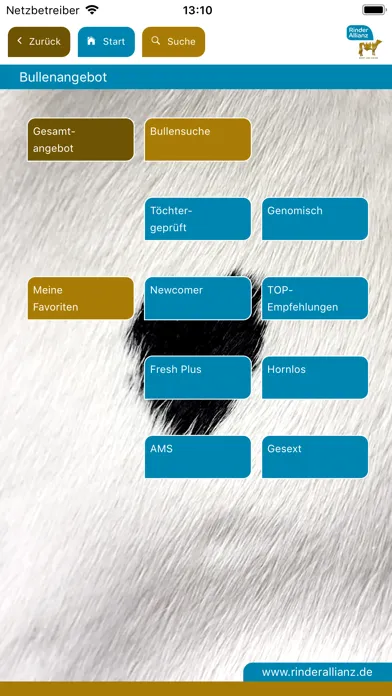تصاویر RinderAllianz