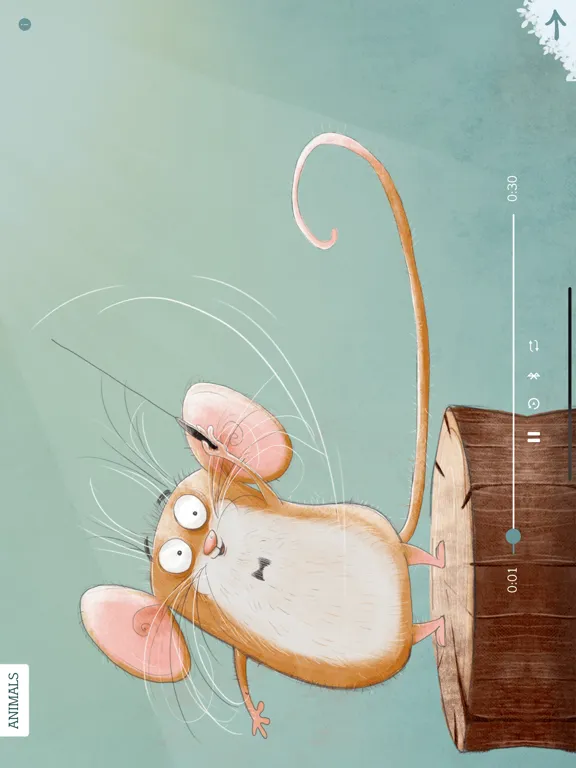 تصاویر Wild Symphony iPad 