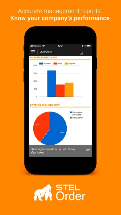 Tangkapan layar STEL Order - ERP & CRM