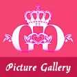 Picture Gallery for SNSD