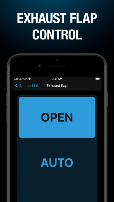 BimmerLink for BMW and MINI Screenshots