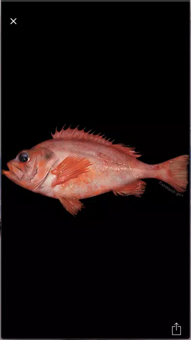 My Fish Info स्क्रीनशॉट