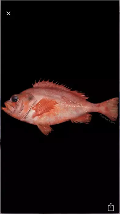 My Fish Info スクリーンショット