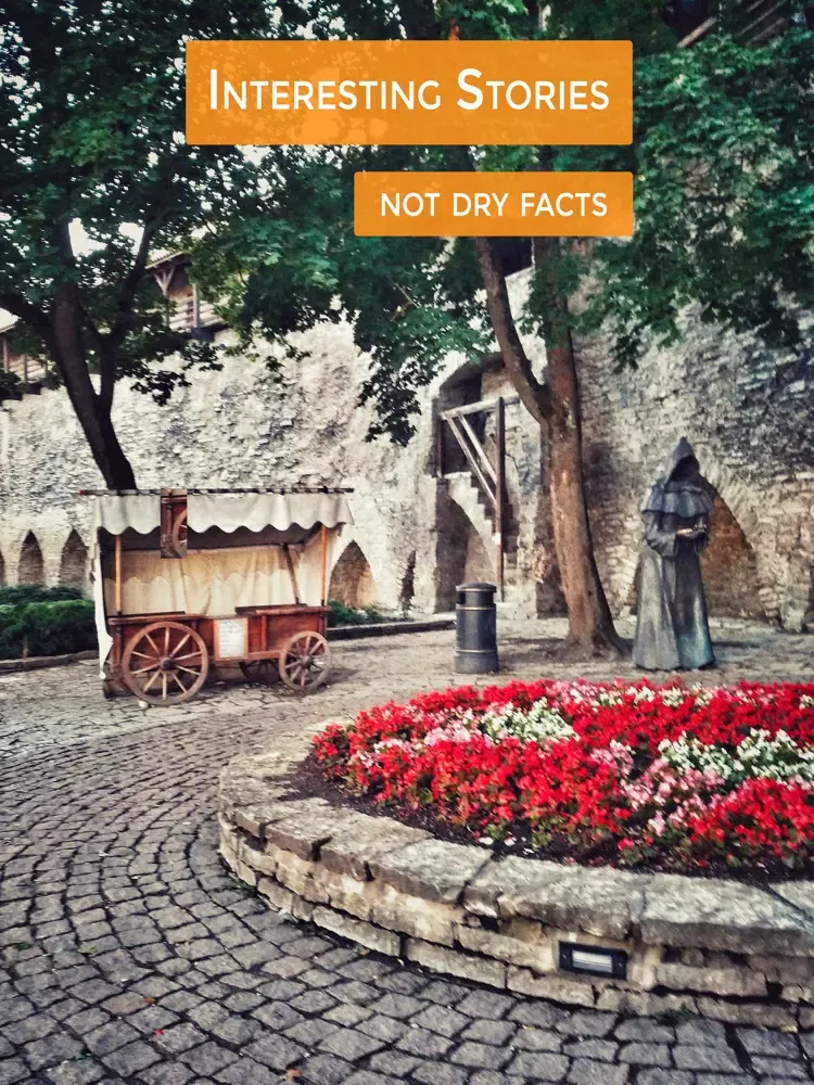 Stepquiz Tallinn Walking Tour iPad 应用截图