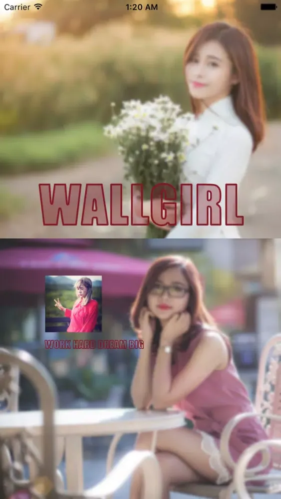 Ảnh chụp màn hình của WallGirl - Hot Girl Pics