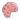 Floaty Brain In Space