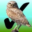 Birdwatcher's Diary for iPad Birdwatcher's Diary for iPad