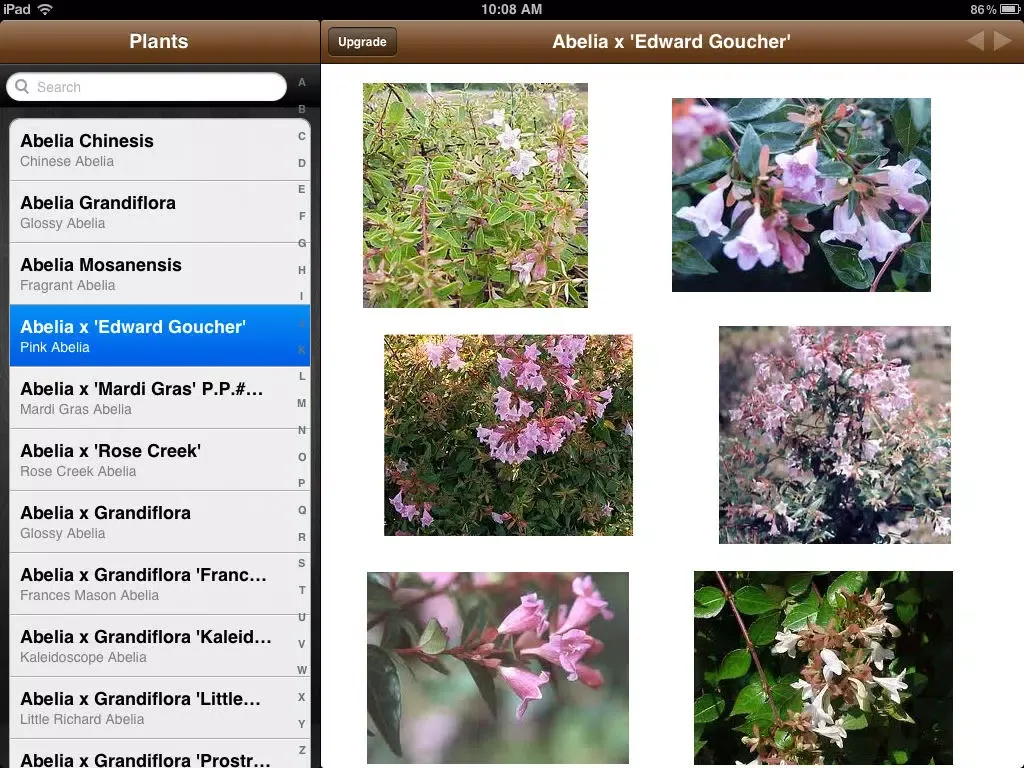 Capturas de tela do Plant Pictures - Plant Picture Guide for Gardeners and Landscapers iPad 