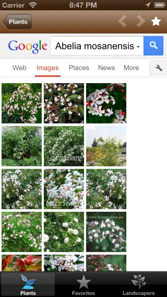 Capturas de tela do Plant Pictures - Plant Picture Guide for Gardeners and Landscapers