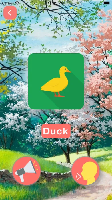 Tangkapan skrin Animal EduKids