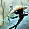 Stick Fight : New War Game