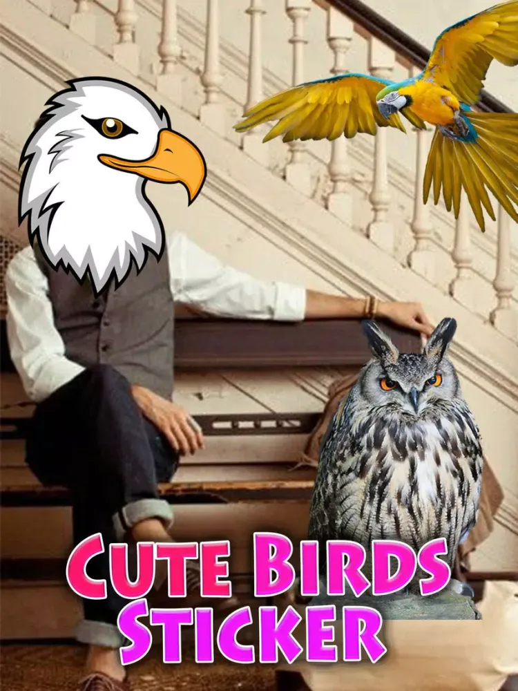 Скриншоты Cute Birds Sticker : funny stickers, masks, effects, memes and frames for your photos iPad 