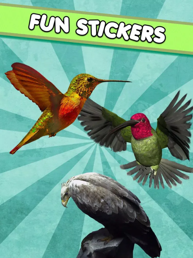 Скриншоты Cute Birds Sticker : funny stickers, masks, effects, memes and frames for your photos iPad 