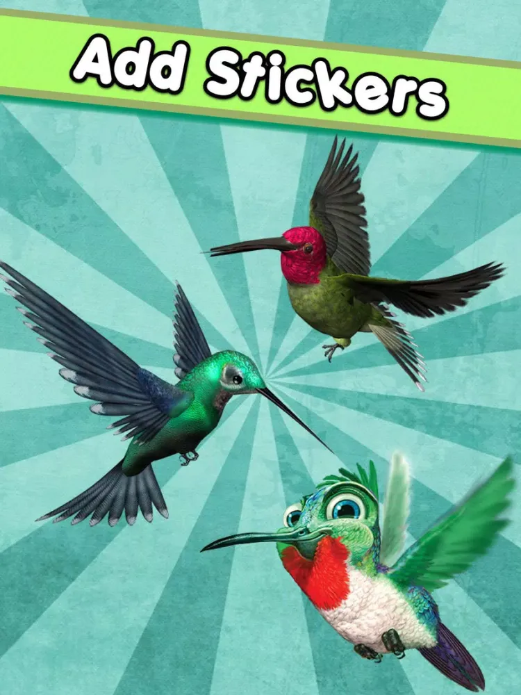 Скриншоты Cute Birds Sticker : funny stickers, masks, effects, memes and frames for your photos iPad 