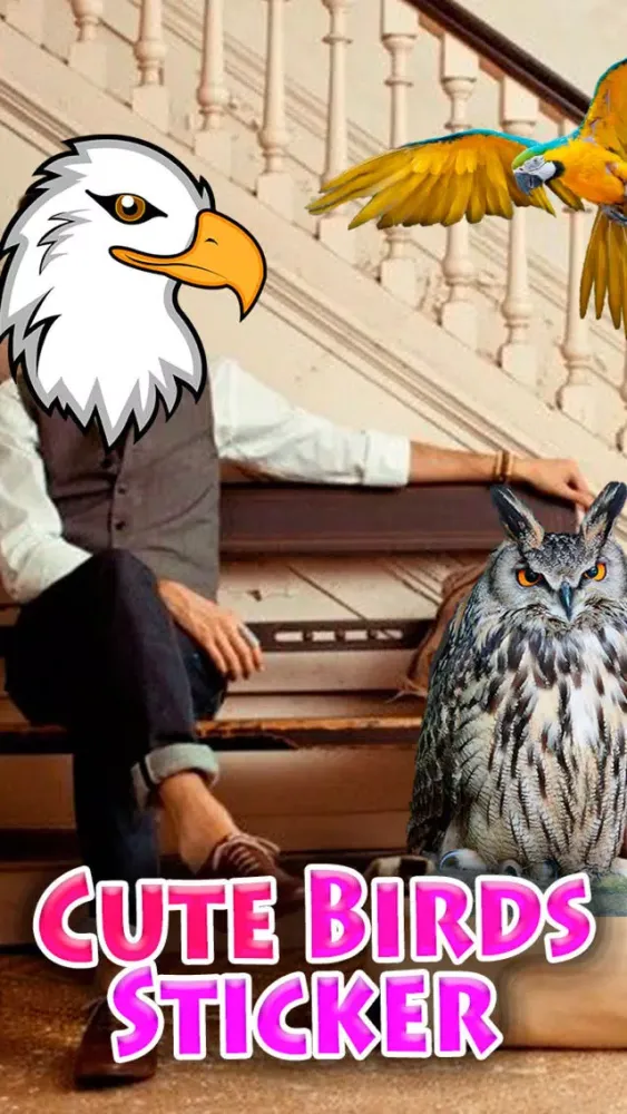 Скриншоты Cute Birds Sticker : funny stickers, masks, effects, memes and frames for your photos