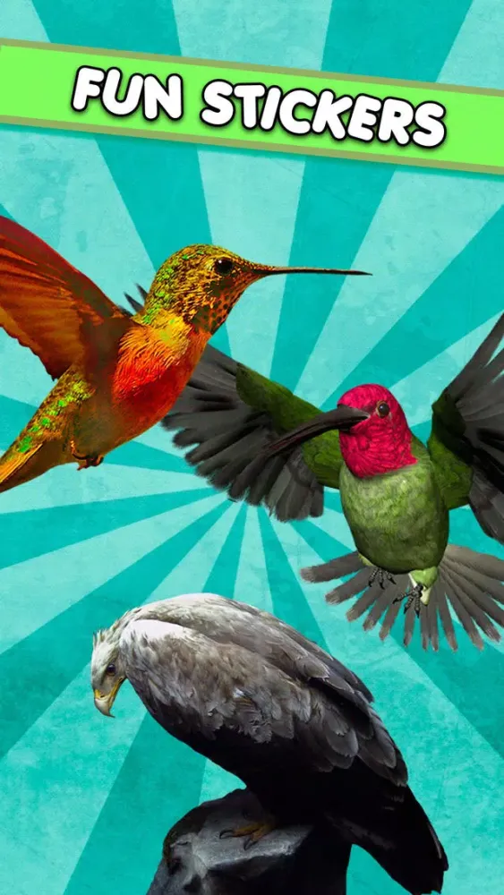 Скриншоты Cute Birds Sticker : funny stickers, masks, effects, memes and frames for your photos