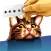 Paper Cat - Stickers for iMessage