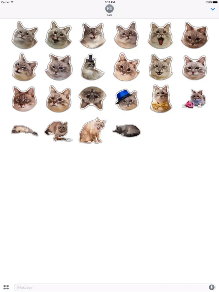 The hummy cat iPad  Screenshots