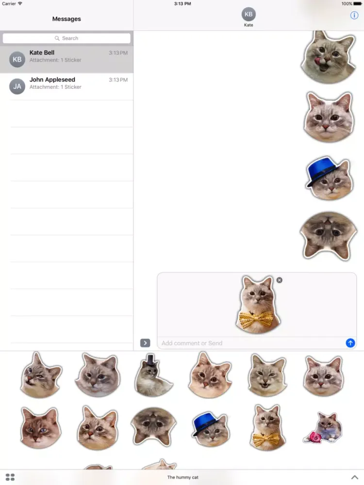 The hummy cat iPad  Screenshots