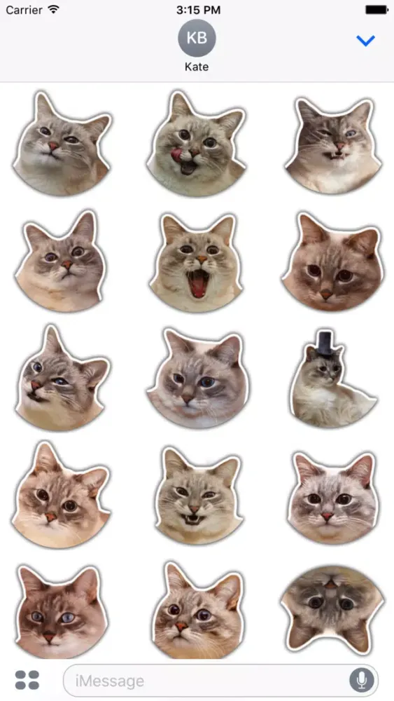 The hummy cat Screenshots