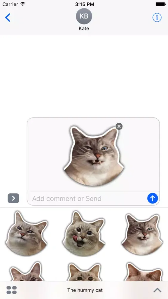 The hummy cat Screenshots