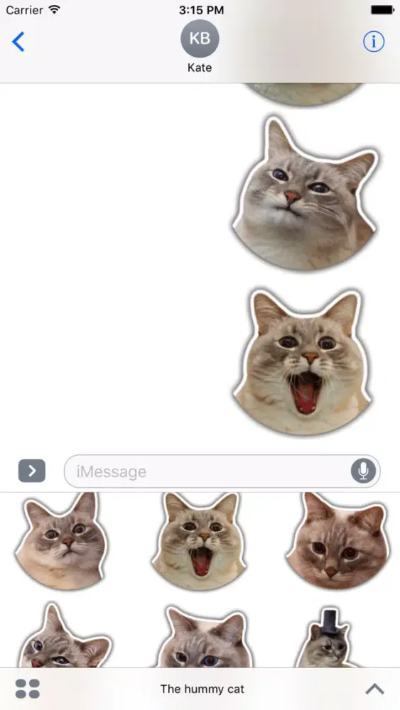 The hummy cat Screenshots