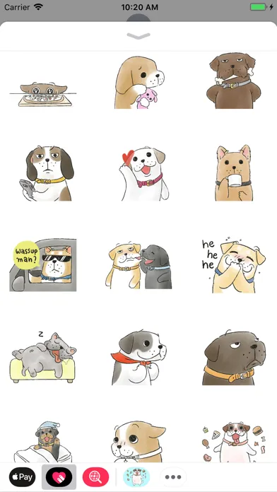 Funny Dog Life Animated Screenshots