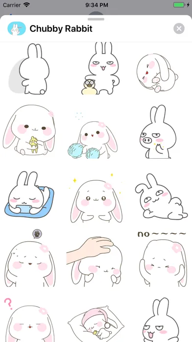 Скриншоты Chubby Rabbit Animated