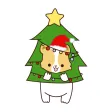 Corgi at Christmas