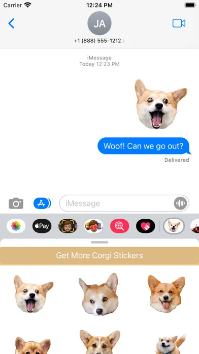 Corgi Dog's Head应用截图